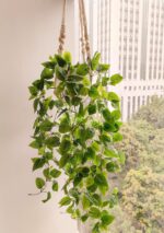 Comtelek Fake Hanging Plants with Lights Artificial Plants for Home Decor Macram... - Image 7
