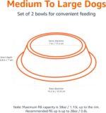 Amazon Basics Stainless Steel Non-Skid Dog Water And Food Bowls, Dishwasher Safe... - Image 3
