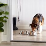 Amazon Basics Stainless Steel Non-Skid Dog Water And Food Bowls, Dishwasher Safe... - Image 6
