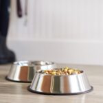 Amazon Basics Stainless Steel Non-Skid Dog Water And Food Bowls, Dishwasher Safe... - Image 7