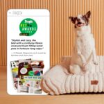 Bedsure ComfyFleece Cute Cat Couch for Pets - As Seen on TV on Good Day New Yor... - Image 4