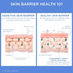 AESTURA ATOBARRIER365 Cream with Ceramides, Korean Face Moisturizer for Barrier ... - Image 6