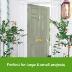 THE ONE All-In-One Paint & Primer - Sage Green Satin, 8.5 Fl Oz/250ml | 1 Coat F... - Image 6