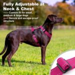No Pull Dog Harness with Handle, Soft Mesh Padded Adjustable for Small Medium La... - Image 4