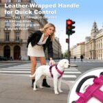 No Pull Dog Harness with Handle, Soft Mesh Padded Adjustable for Small Medium La... - Image 6