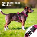 No Pull Dog Harness with Handle, Soft Mesh Padded Adjustable for Small Medium La... - Image 7