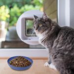 [8 Pack] Cat Dishes Whisker Friendly, Shallow Wide Pet Food and Water Bowl, Dura... - Image 8