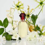 Paul Sebastian Design Perfume for Women, Day & Night Soft Floral Fragrance Spray... - Image 5