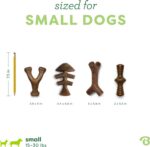 Benebone Small 4-Pack Dog Toys for Aggressive Chewers – Durable Dog Bones, Made ... - Image 5