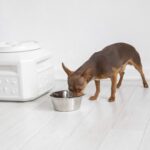 Gamma2 Vittles Vault Dog Food Storage Container with Airtight Lid, holds up to 1... - Image 6