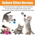 21 Pcs Cat Toys for Indoor Cats Collapsible Cat Tunnel Interactive Feather Tease... - Image 4