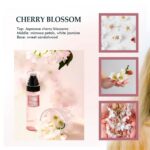 Clean-n-Fresh Body Spray for Women, Body Mist, Fragrance Mist Gift Sets, Pack of... - Image 3