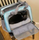 Enjoying Cat Mat Bed 10" x 15" Pet Bed with Pillow Around for Puppy Kitten Curle... - Image 6