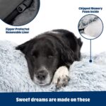 Barkbox Dog Bed, 2-in-1 Memory Foam Donut Cuddler Dog and Cat Bed, Calming Ortho... - Image 3