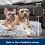 Barkbox Dog Bed, 2-in-1 Memory Foam Donut Cuddler Dog and Cat Bed, Calming Ortho... - Image 6