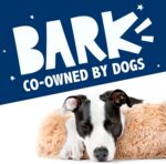 Barkbox Dog Bed, 2-in-1 Memory Foam Donut Cuddler Dog and Cat Bed, Calming Ortho... - Image 8