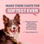 Veterinary Formula Moisturizing Ultra Oatmeal Shampoo & Conditioner Bundle for D... - Image 4