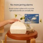 Hatch Restore 3 | Sunrise Alarm Clock, Smart Light, Sleep Audio (Putty) | White ... - Image 6