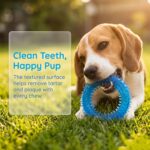 Beiker 20 Pack Puppy Chew Toys - Blue Dog Teething Toys for Puppies, Puppy Teeth... - Image 5