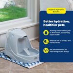 PetSafe Drinkwell Platinum Cat Water Fountain - Pet Fountain for All Pet Sizes, ... - Image 6
