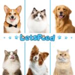 Pet Steam Brush Spray Refill for Dogs & Cats – Concentrated Waterless Shampoo, 3... - Image 7