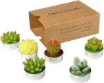 Cactus Tealight Candles, Handmade Delicate Succulent Cactus Candles（ Perfect for... - Image 3