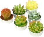 Cactus Tealight Candles, Handmade Delicate Succulent Cactus Candles（ Perfect for... - Image 5