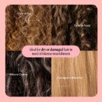MONDAY HAIRCARE Repair Shampoo and Conditioner Set (2 Count) 12 oz For Dry to Da... - Image 8