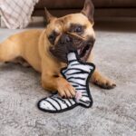 SHARLOVY No Stuffing Dog Toys Crinkle Squeaky, Long Lasting Chews for Aggressive... - Image 6