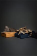 NOAH & PAW Small Dog Bed, 20x15x6.5 Inch, Cat Bed for Indoor Cats, Orthopedic Eg... - Image 7