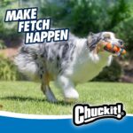 Chuckit! Interactive Dog Toy Ultra Fetch Stick - 12 Inch Outdoor Dog Toy for All... - Image 4