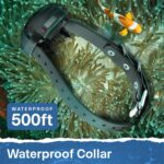 Educator ET-300 Mini E Collar for Dog Training with Remote - 1/2 Mile Range, Wat... - Image 8
