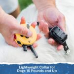 Educator ET-300 Mini E Collar for Dog Training with Remote - 1/2 Mile Range, Wat... - Image 10