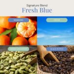 Fresh Blue Aroma Oil, Essential Oils Blend for Diffusers & Scent Machines, Manda... - Image 4