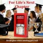 Funny Office Emergency Box w/Hammer, Break in Case of Emergency Box, DIY Stress ... - Image 5