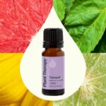Plant Therapy Tranquil Essential Oil Blend - Peace & Calming Blend 100% Pure, Na... - Image 4