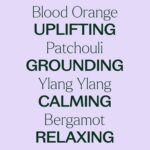 Plant Therapy Tranquil Essential Oil Blend - Peace & Calming Blend 100% Pure, Na... - Image 5