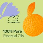 Plant Therapy Tranquil Essential Oil Blend - Peace & Calming Blend 100% Pure, Na... - Image 6