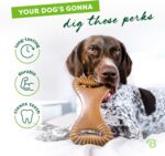 Benebone Dental Durable Dog Chew Toy for Aggressive Chewers, Real Bacon, Made in... - Image 4