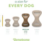 Benebone Dental Durable Dog Chew Toy for Aggressive Chewers, Real Bacon, Made in... - Image 5