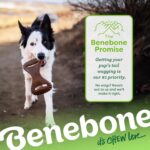 Benebone Dental Durable Dog Chew Toy for Aggressive Chewers, Real Bacon, Made in... - Image 7