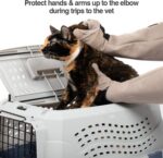 PetFusion Multipurpose Pet Glove for Grooming, Trips to Vet, Handling. [Puncture... - Image 6