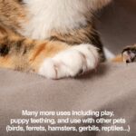 PetFusion Multipurpose Pet Glove for Grooming, Trips to Vet, Handling. [Puncture... - Image 8