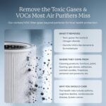 AIRDOCTOR AD4000 Air Purifier. Perfect for Large Rooms, Basements Up to 2,776 ft... - Image 5