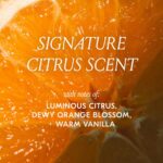 DAE Cactus Fruit 3-In-1 Styling Cream & Taming Wand - Tame Flyaways, Smooth Friz... - Image 9
