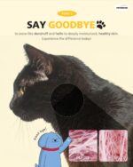 PETHROOM] Unscented Cat Moisture Mist – Natural Leave-In Conditioner Spray for C... - Image 5