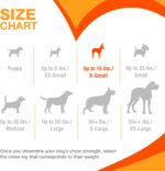 Nylabone Puppy Chew Teething Ring Bone Dog Toy, Chicken Flavor, X-Small | Soothi... - Image 7
