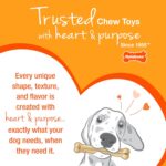 Nylabone Puppy Chew Teething Ring Bone Dog Toy, Chicken Flavor, X-Small | Soothi... - Image 12