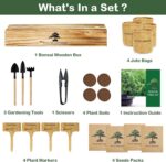 LUOJIBIE Bonsai Tree Kit, Bonsai Tree Starter Growing Kit, Unique Birthday Gifts... - Image 3