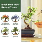 LUOJIBIE Bonsai Tree Kit, Bonsai Tree Starter Growing Kit, Unique Birthday Gifts... - Image 4